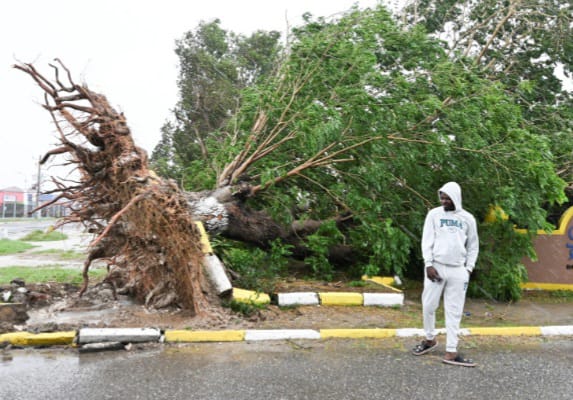 WhatsApp Image 2025-10-29 at 5.50.39 PM