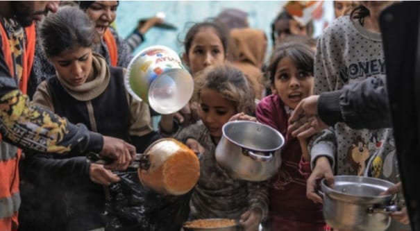 WhatsApp Image 2025-11-12 at 7.55.53 PM