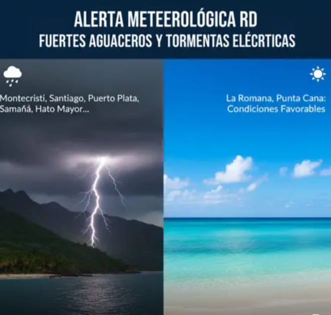 WhatsApp Image 2025-11-15 at 2.47.24 PM