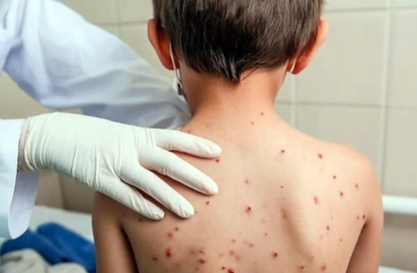 WhatsApp Image 2025-11-19 at 7.34.39 PM