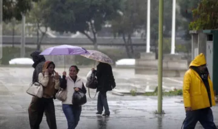 WhatsApp Image 2025-12-14 at 3.28.49 PM