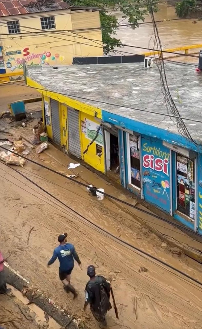 Danos-Gaspar-Hernendez