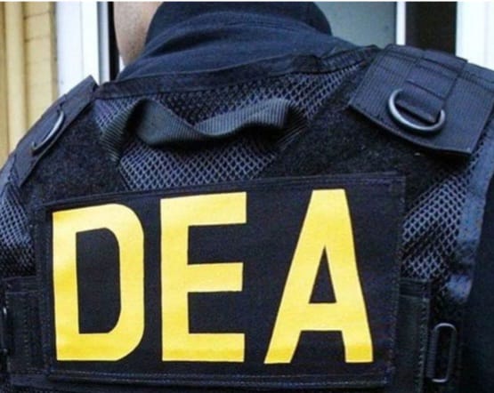 WhatsApp Image 2026-02-03 at 9.49.23 PM