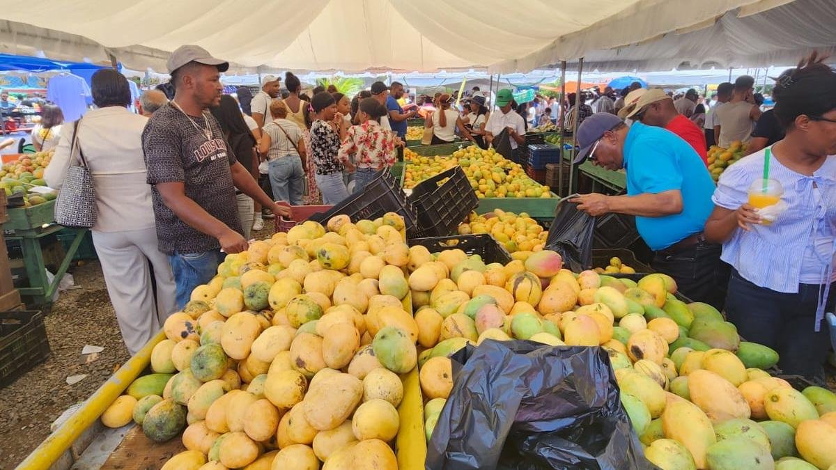 La feria reunió a productores, empresarios y autoridades del sector agropecuario, consolidando el liderazgo de Peravia en la producción y comercialización de mango para mercados internacionales.