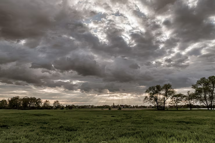 LA TARDE AMENAZA LLUVIA